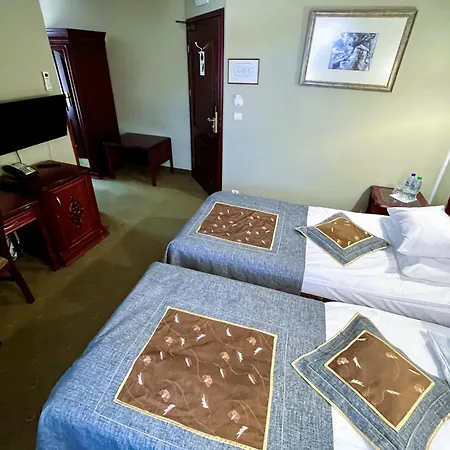 赞基艾姆别墅酒店 4* 雷恩