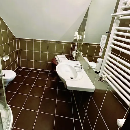 赞基艾姆别墅酒店 雷恩