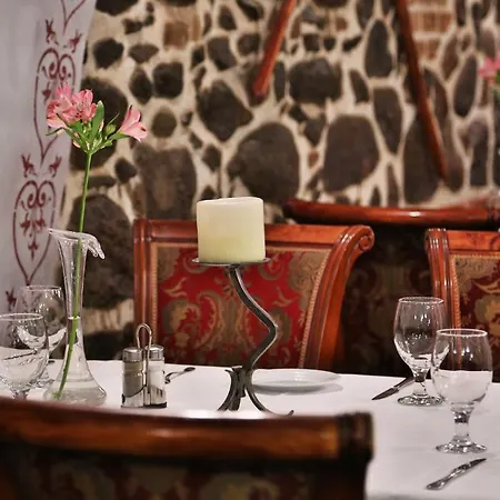 赞基艾姆别墅酒店 4* 雷恩