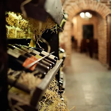 住宿加早餐酒店 赞基艾姆别墅酒店 4*